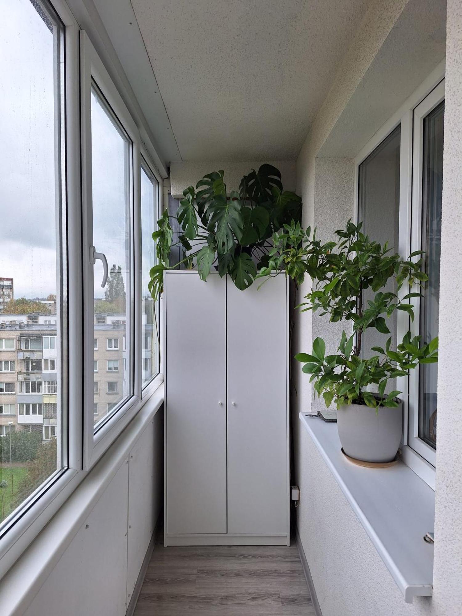 Debreceno-Park Apartments 클라이페다 외부 사진